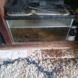 Aquarium 5 Gallons+ Filtration 