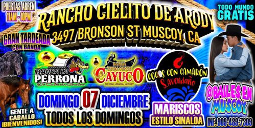 Todos Los Domingo’s (contact info removed) Informes 1 Pm9 Pm 