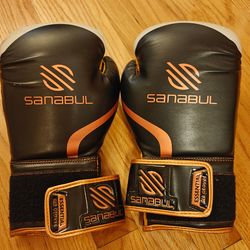 Kids Boxing Gloves Children & Youth Boxing MMA and Kickboxing Gloves