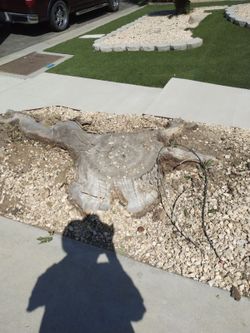 Stump Grinding 