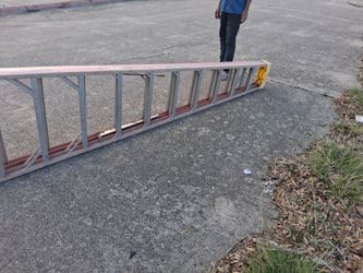 8 ft werner Ladder