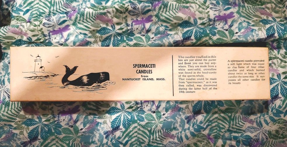 Spermaceti Candles (70s)