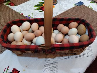 Organic eggs