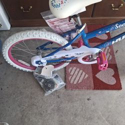 Girl Brand New Bike 20 Inch