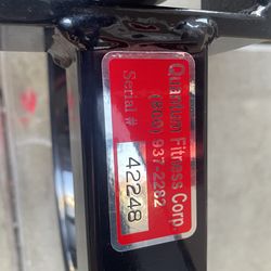 Quantum Fitness Preacher Curl Bench