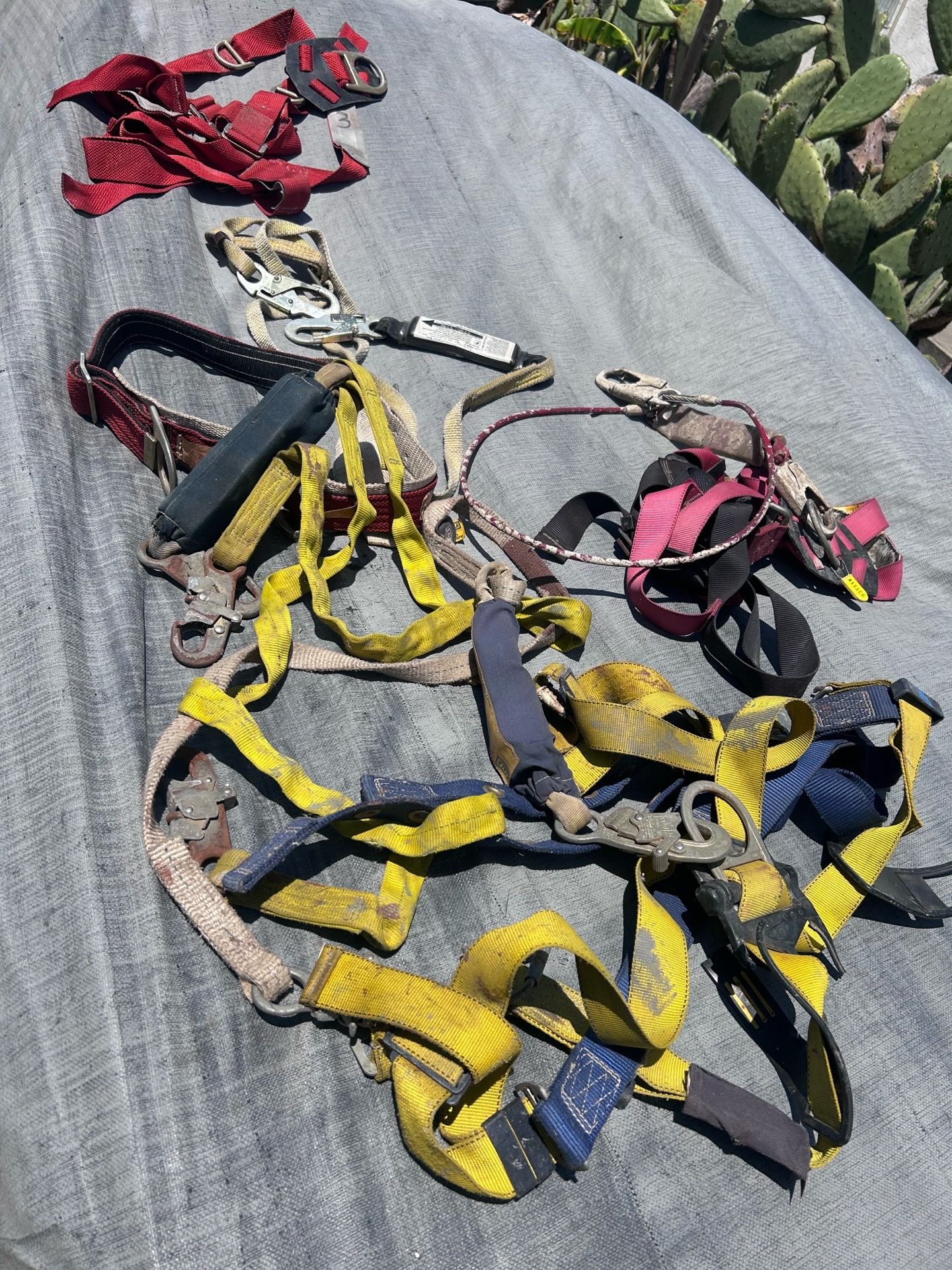 Safety harnesses