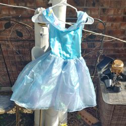 Disney costume