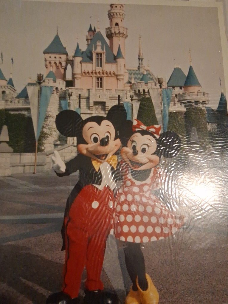 Walt Disney Actual Photograph