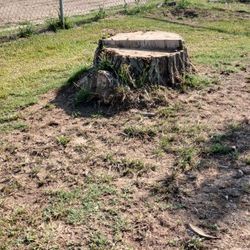 Need Stumps Removed And Lawn Tractors For 50.00