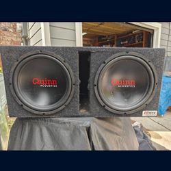 12" Subwoofers In A Ported Box 