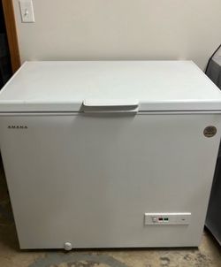 Amana Storage freezer