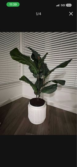 Artificial Fig Leaf Tree