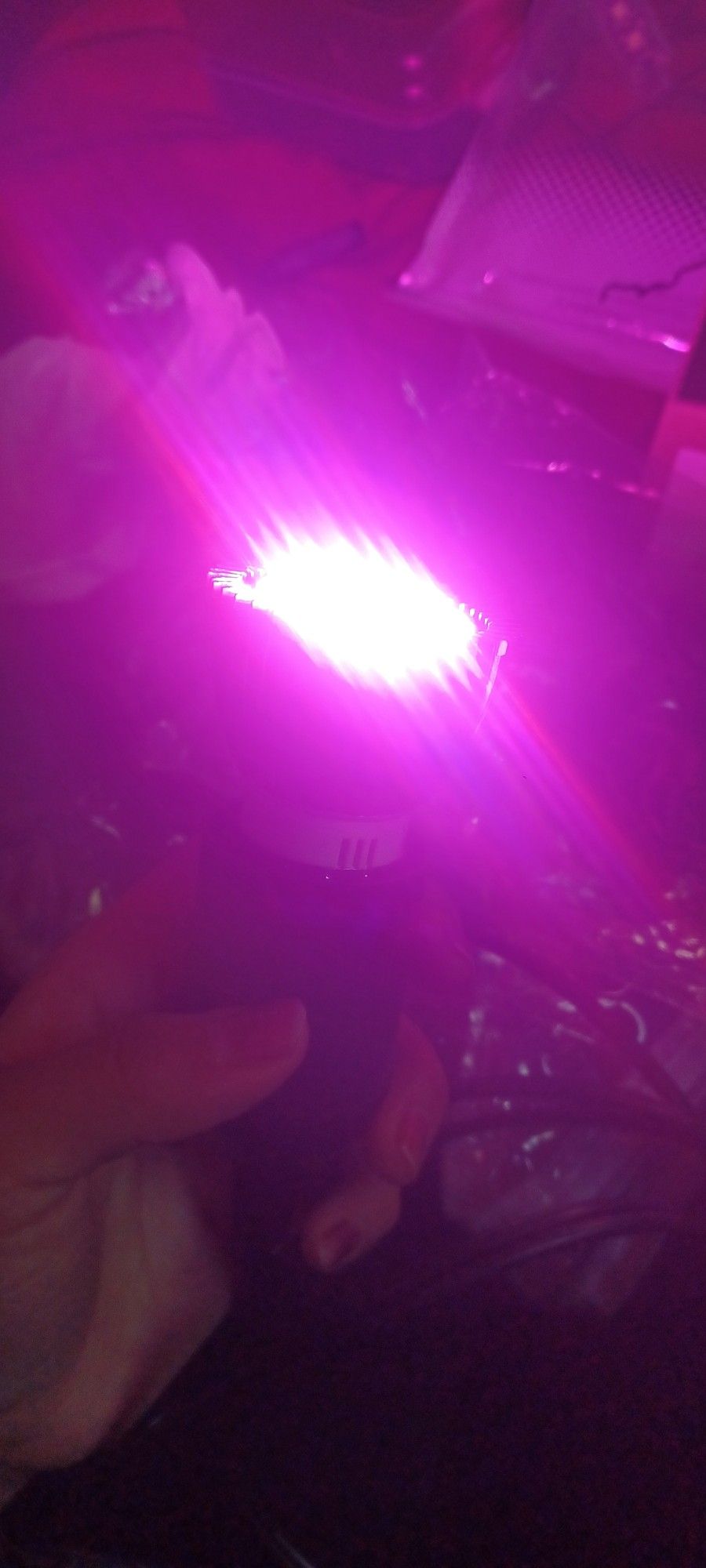 2 Pink Grow Lights