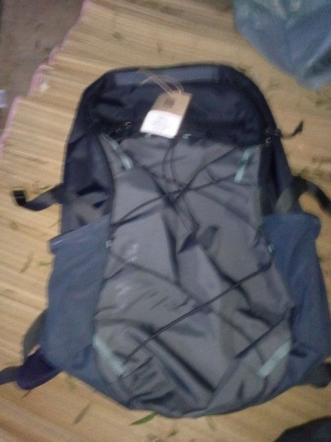 Patagonia Backback
