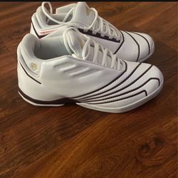Tracy Mcgrady Basketball Shoes “TMAC”