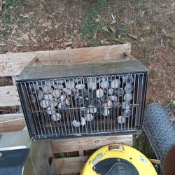 Gas Grill