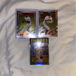 Pirates Hot Rookies 