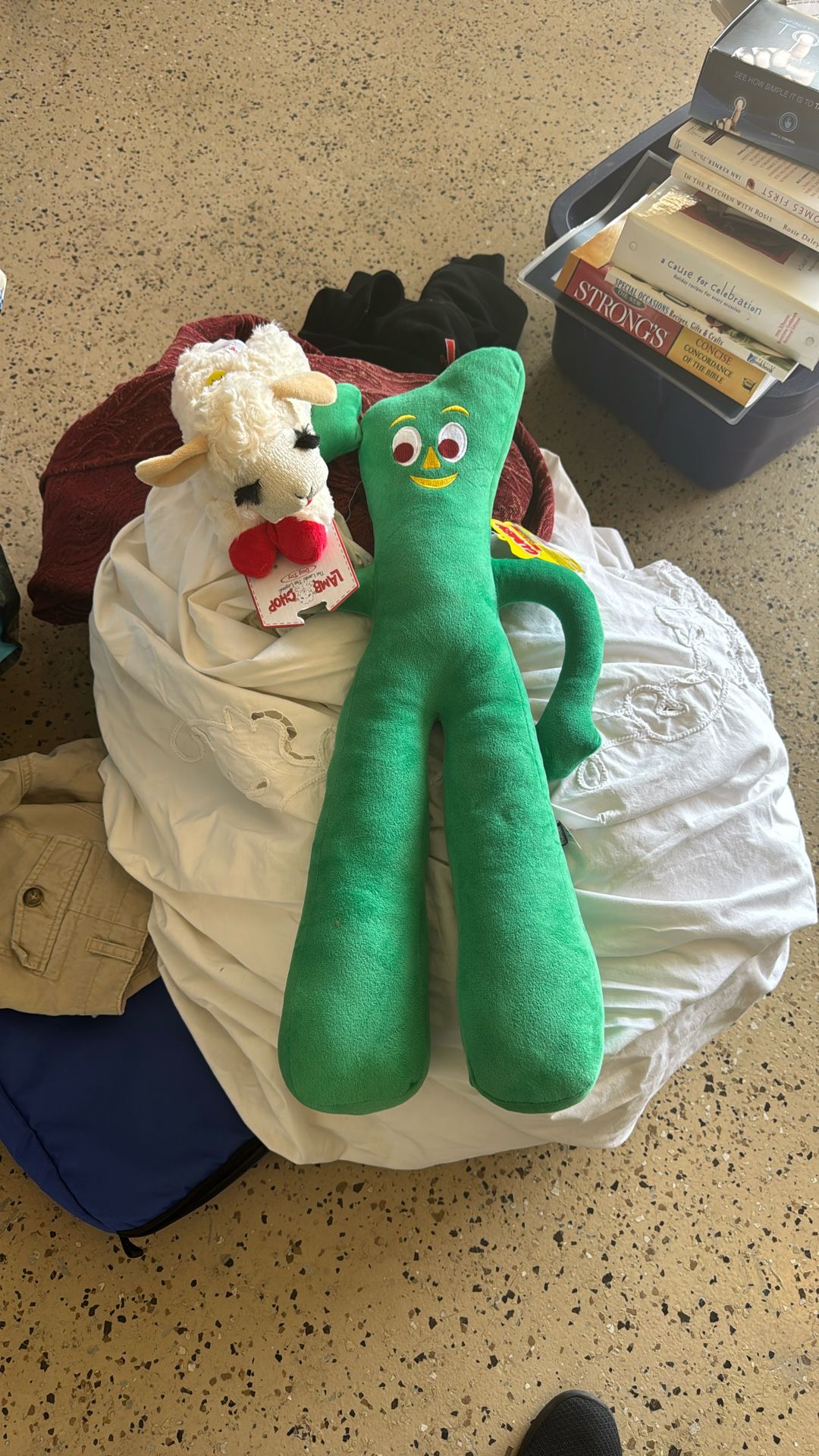 Dog Toys
