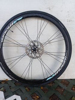 Specialized/Schwinn