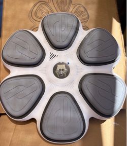 Bluetooth Boxing Music Machine
