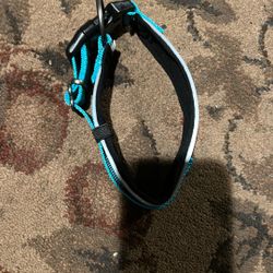 Dog Collar Size S/M New