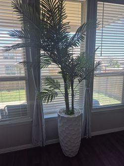 Palm tree and vase