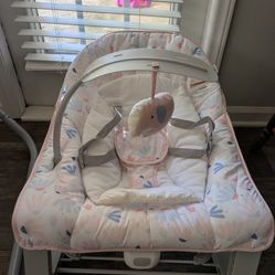 Ingenuity Rocker/Bouncer