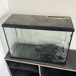 35 gal fish tank