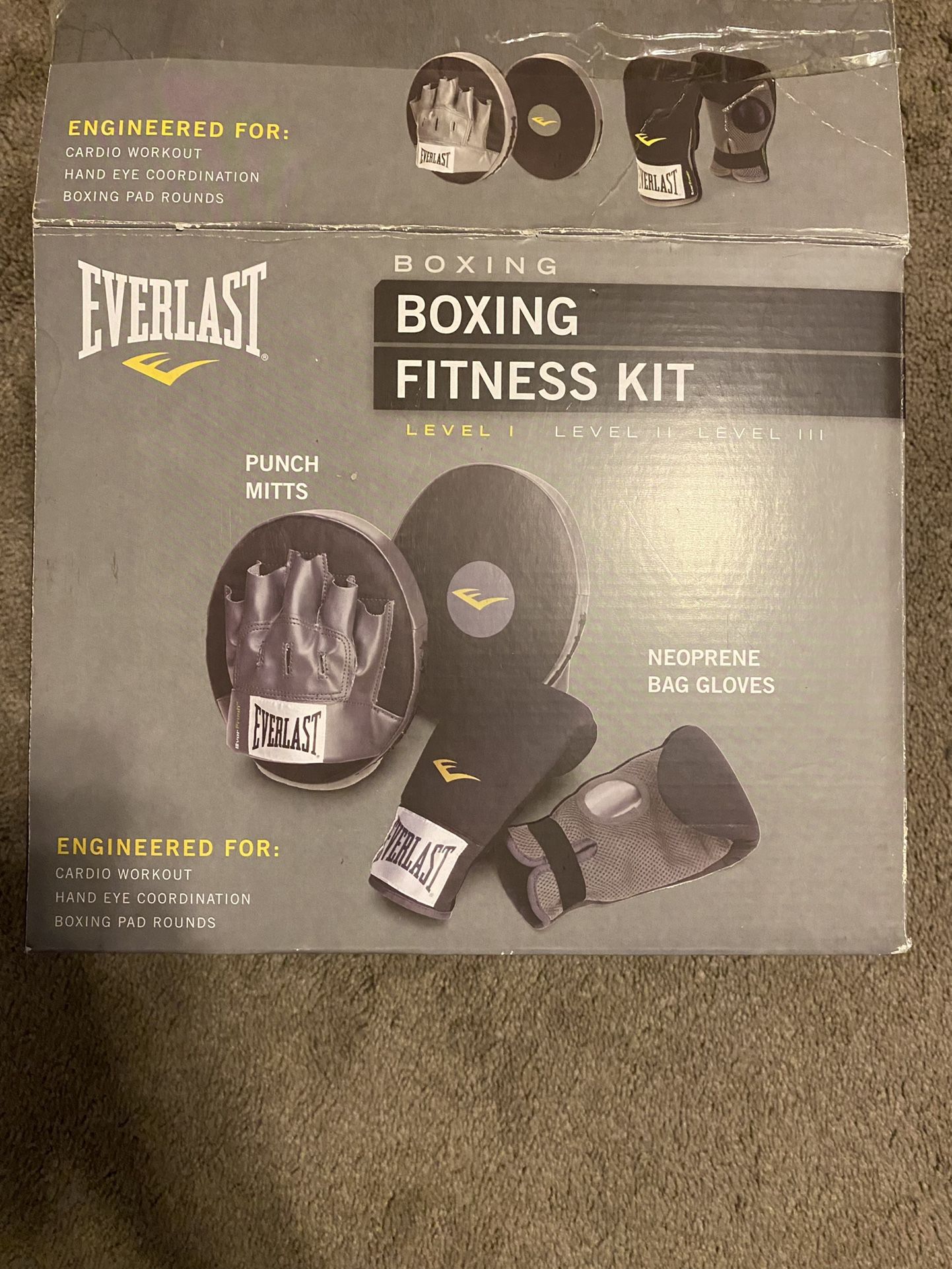 Everlast Boxing Fitness Kit 