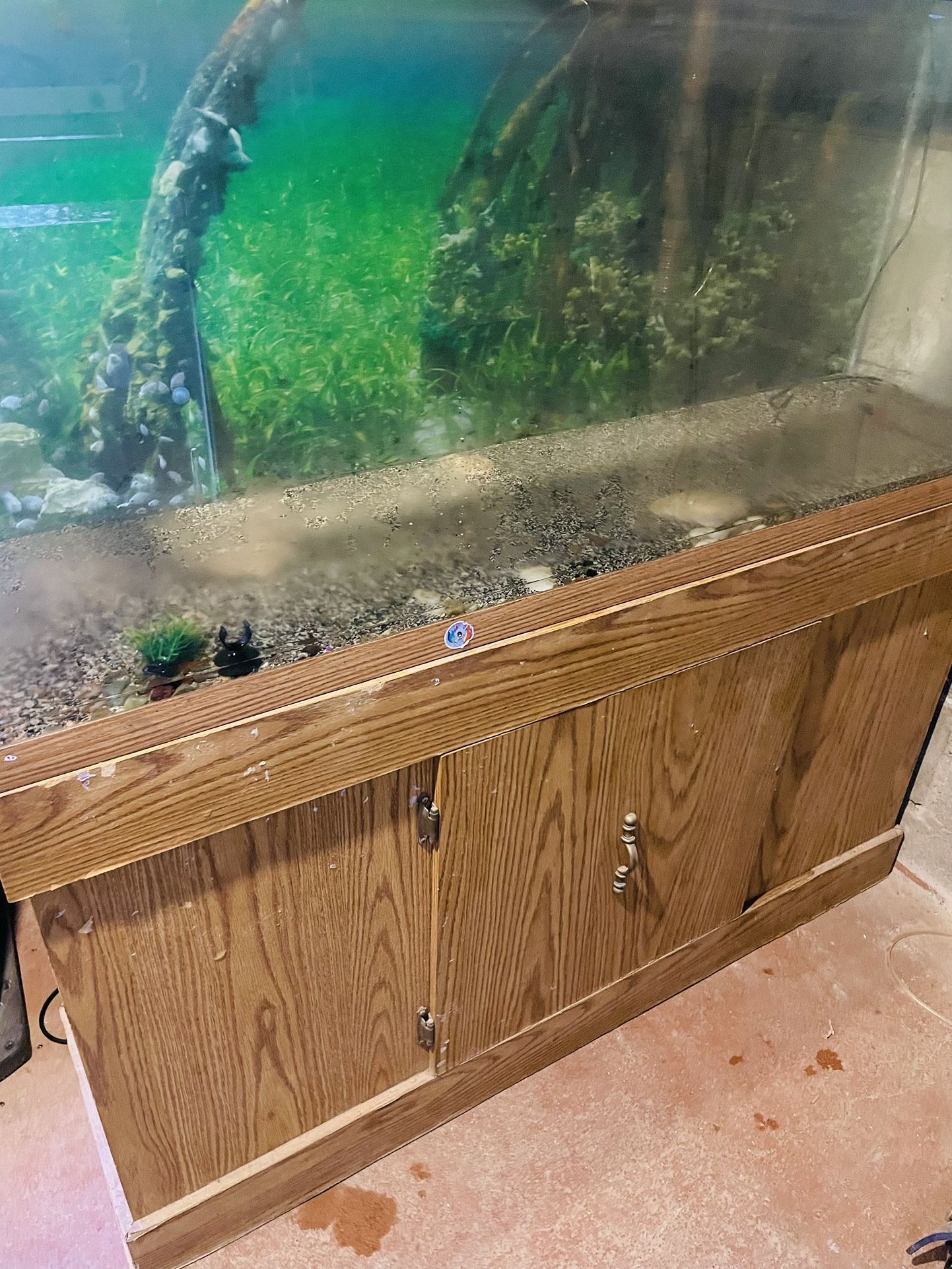 Fish tank With Stand 