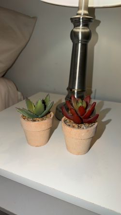 Plant decoration