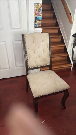 Dining Chairs