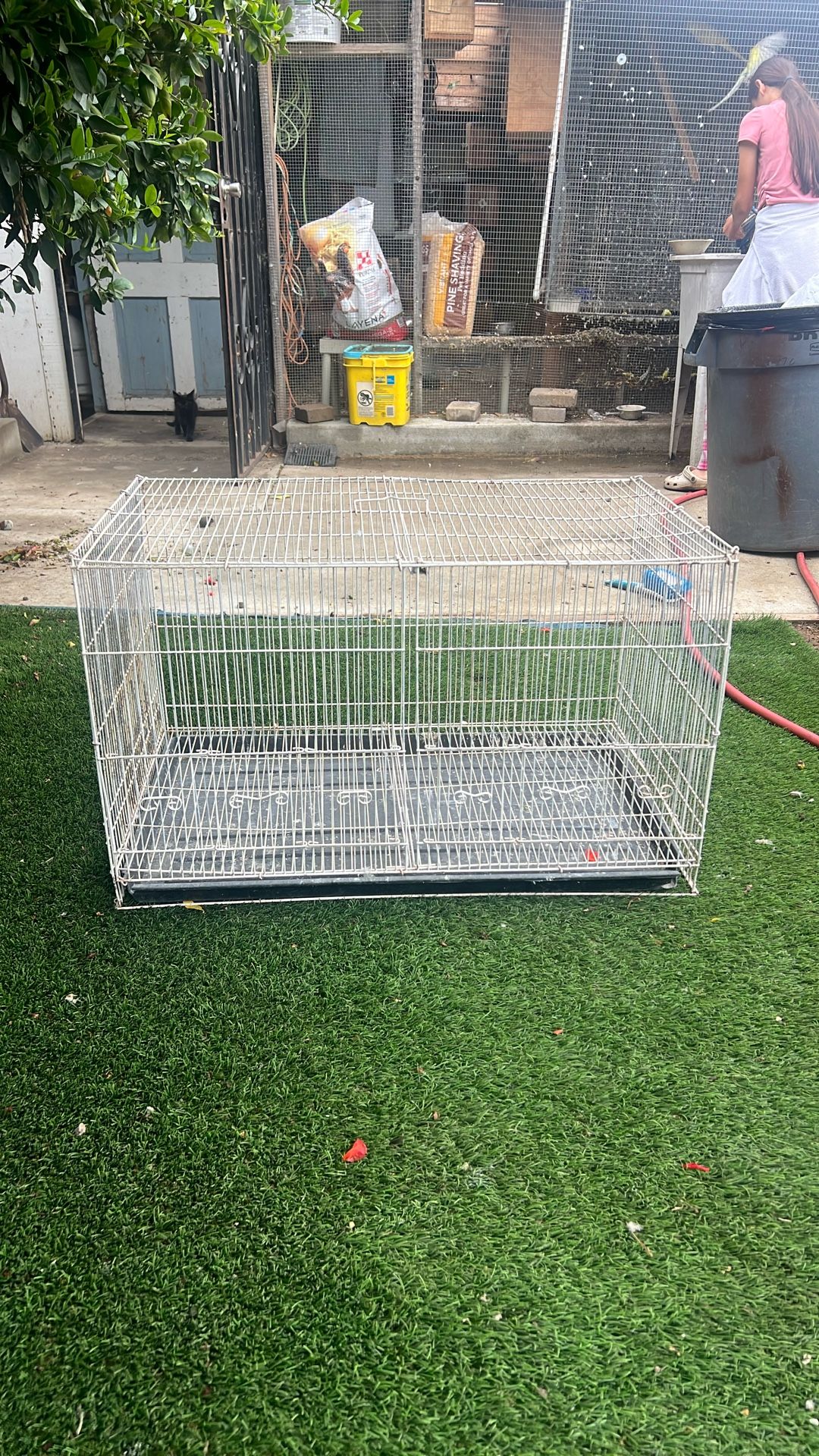 White Bird Cage