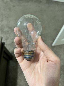 Daylight Bulbs Available For Sale !! At Very Low Price!