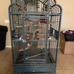 Bird Cage