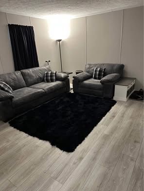 Leland Leather Grey Couch And Chair