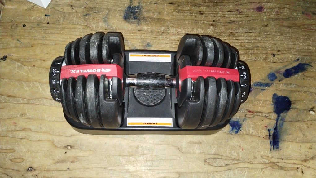 Bowflex Adjustable Dumbbell