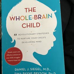 The Whole Brain Child Book 