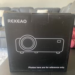 Projector