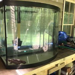 15 Gallon  Aquarium & Accesoiries