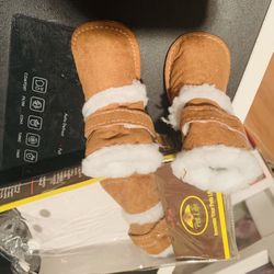 Brand new small dog shoes Just In Time For Snow