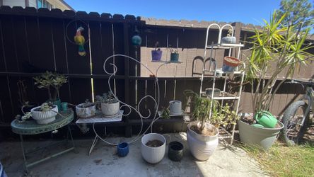Planters And Outside Plant Shelves 