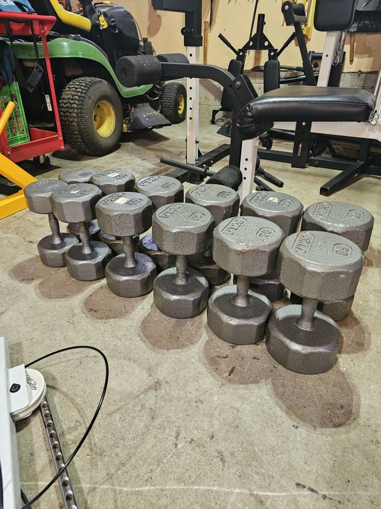 620lbs VTX dumbbells