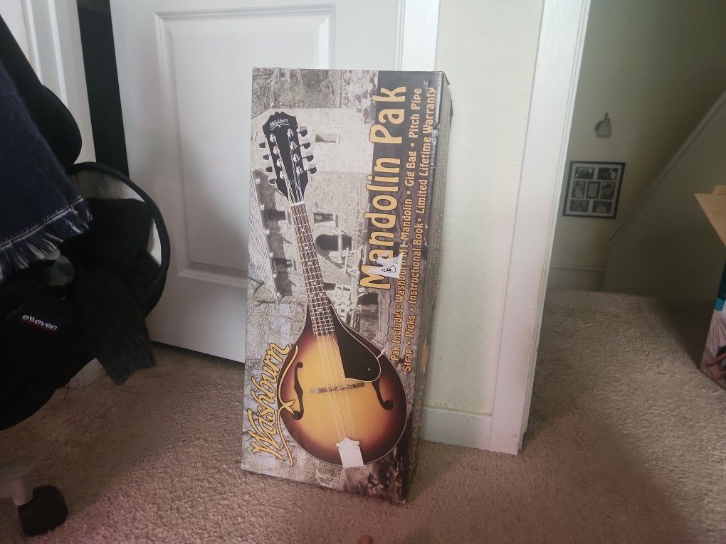 Washburn Mandolin