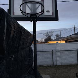 Basketball Rim with  Stand