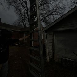 16ft Werner Ladder 