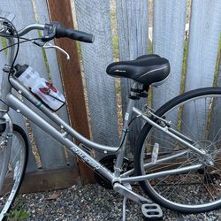 Raleigh detour women's deals bike
