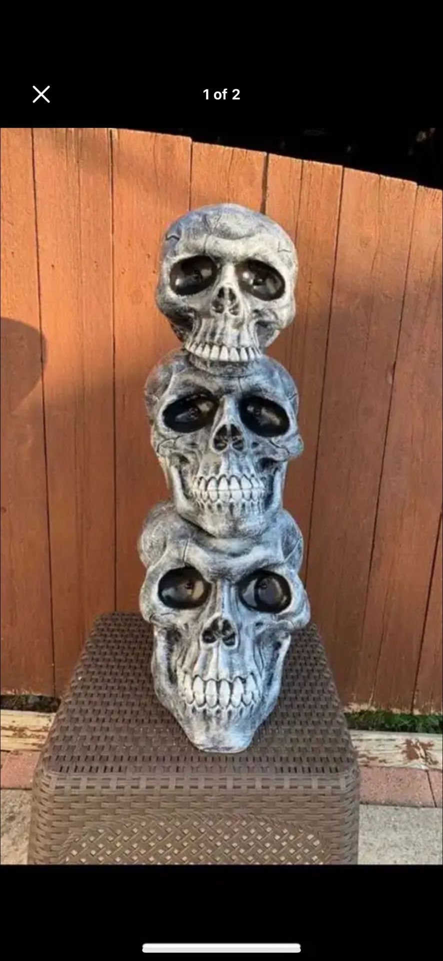 3 Foot tall skull Statue