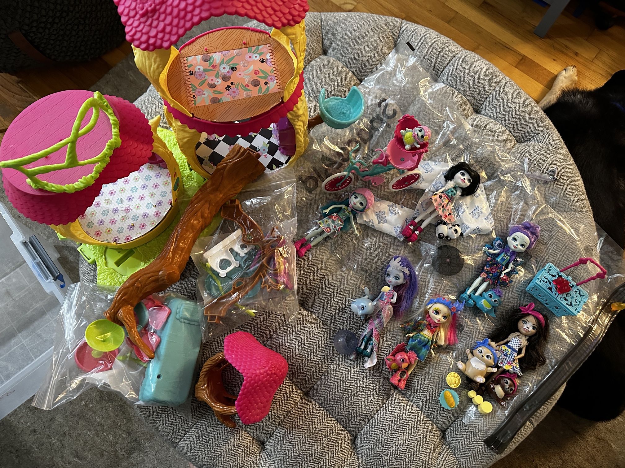 Enchantimal Doll Set AND Magic Tree house