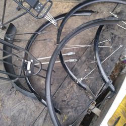 Bike Fenders